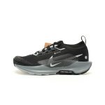 Nike Reactx Pegasus Trail 5 GTX"Black Wolf Grey" FQ0908-001  shoes