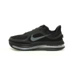 Nike Pegasus Premium "Black Metallic Silve" HQ2592-005