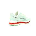 Nike Pegasus Premium Mint Green Men's & Women's Lightweight Trail Shoes – Discount