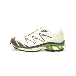 Salomon XT-6 Expanse Canvas"Beige Coffee Green" 478085