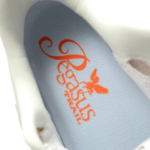 Nike ACG Pegasus Trail HV8116-103
